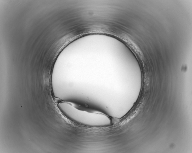 X0000093760993200711131144