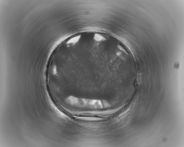 X0000093760995200711131144