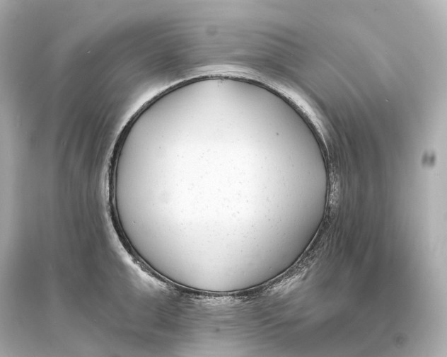 X0000093760999200711131144