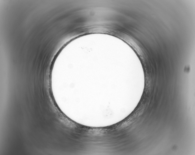 X0000093761000200711131144