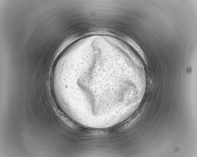 X0000093761002200711131144