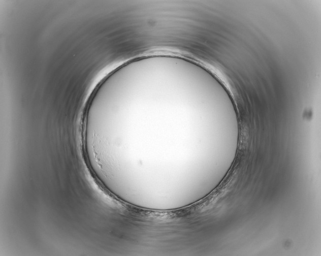 X0000093761003200711131144