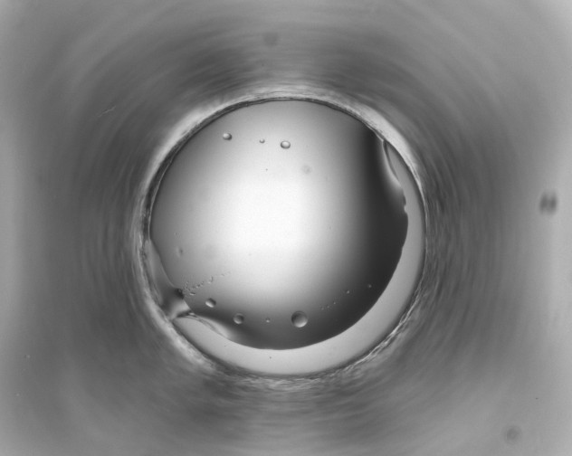 X0000093761005200711131144