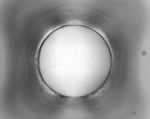 X0000093761008200711131144