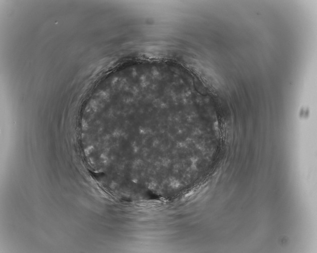 X0000093761009200711131143