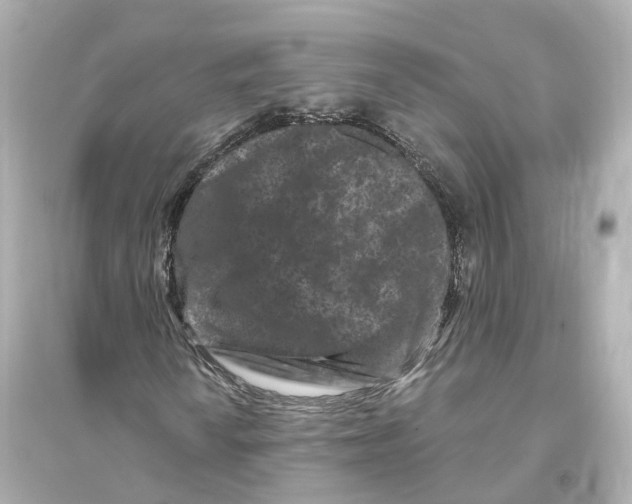 X0000093761010200711131143