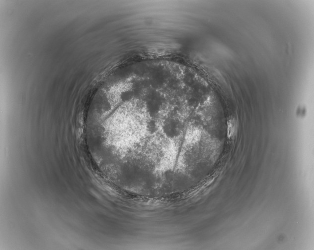 X0000093761011200711131143