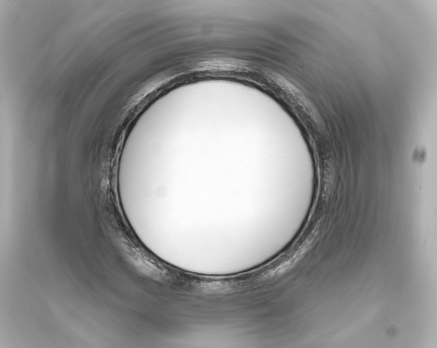 X0000093761017200711131143