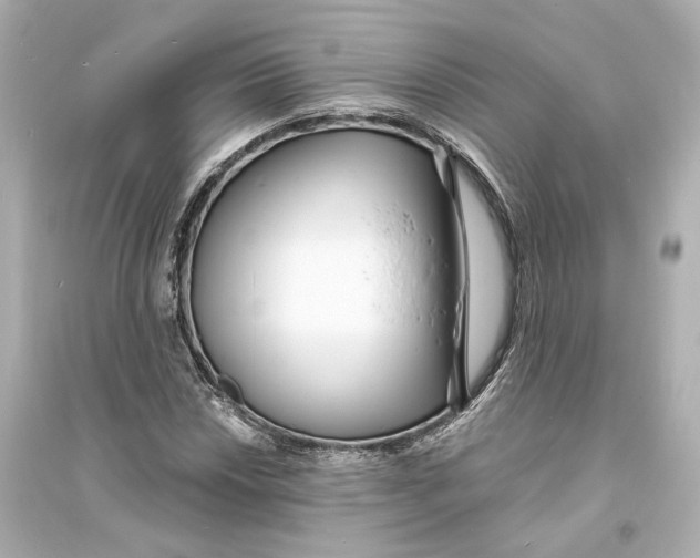 X0000093761018200711131143