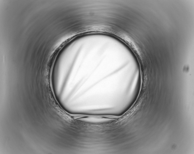 X0000093761019200711131144