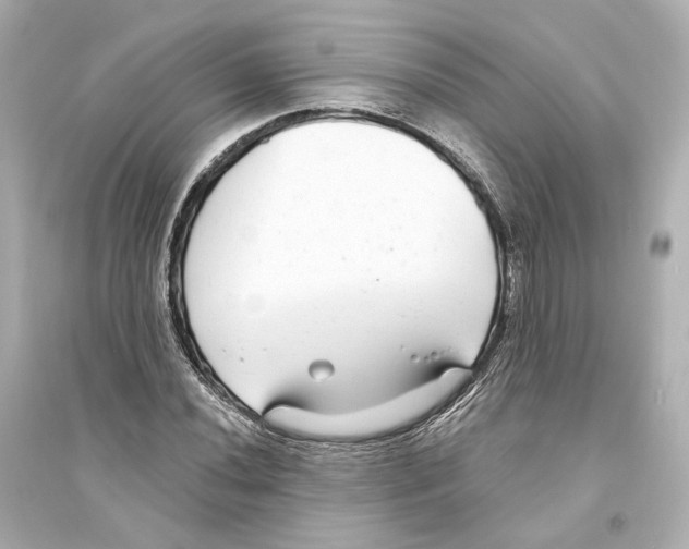 X0000093761020200711131144