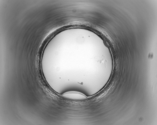 X0000093761021200711131144