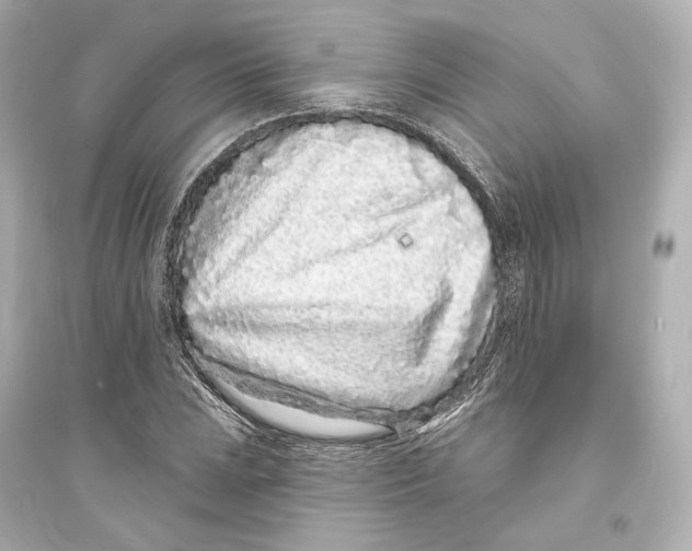 X0000093761023200711131144