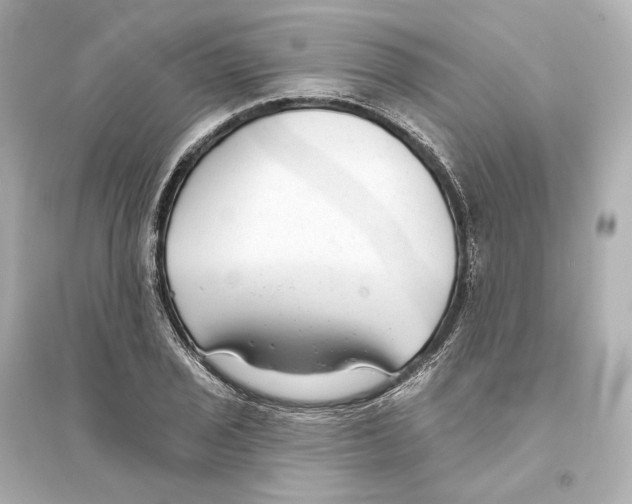 X0000093761029200711131144