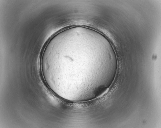 X0000093761032200711131144