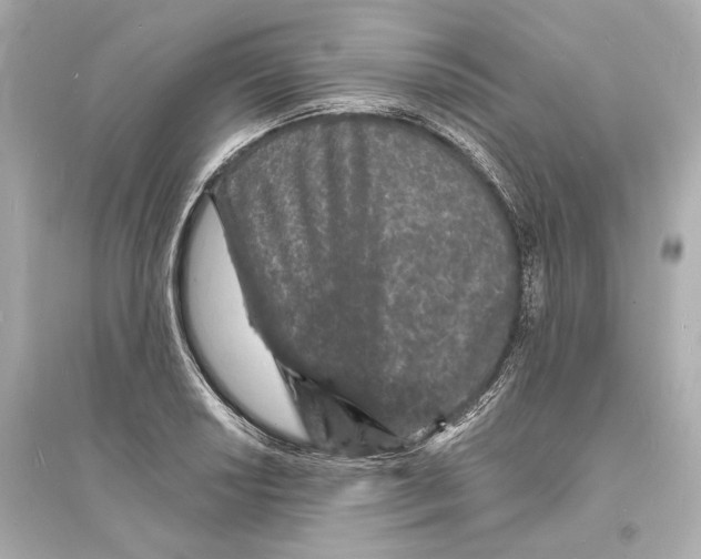 X0000093761034200711131144