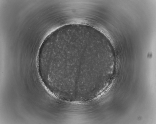 X0000093761037200711131144