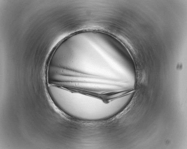 X0000093761038200711131144