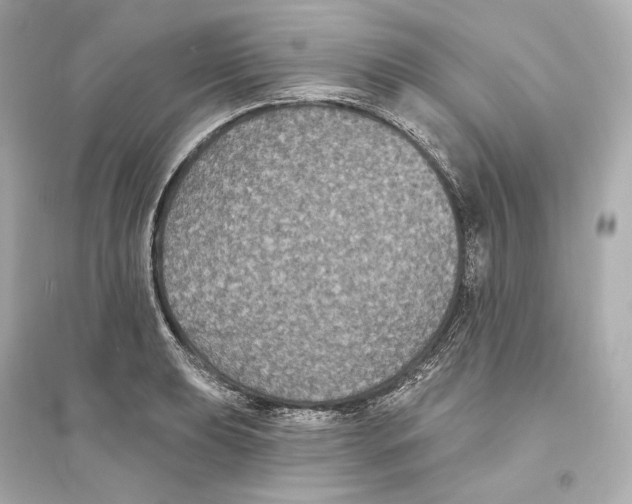 X0000093761039200711131144