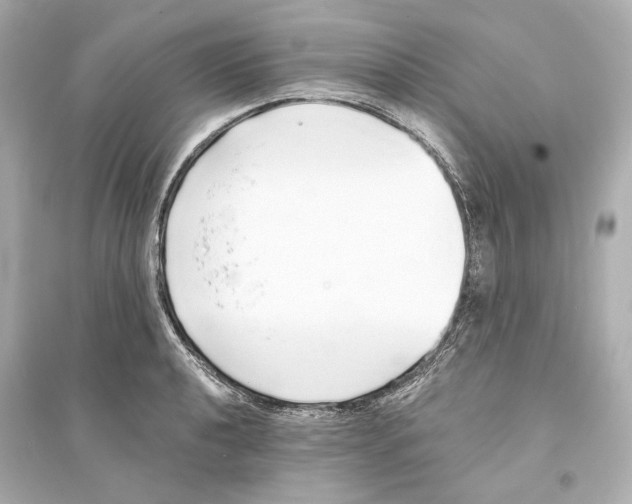 X0000093761040200711131144