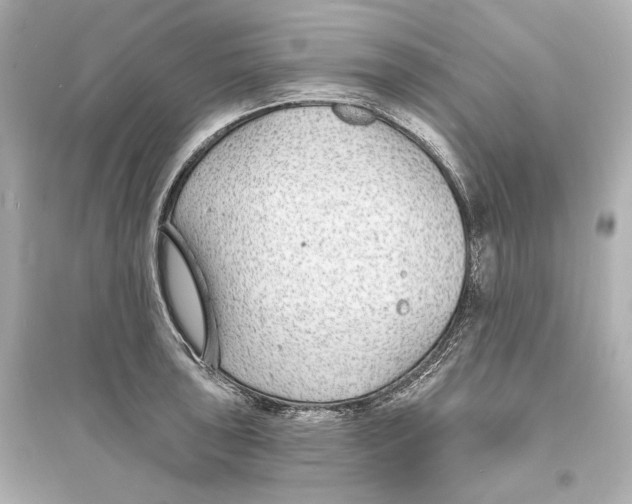 X0000093761043200711131144