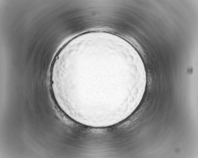 X0000093761044200711131144