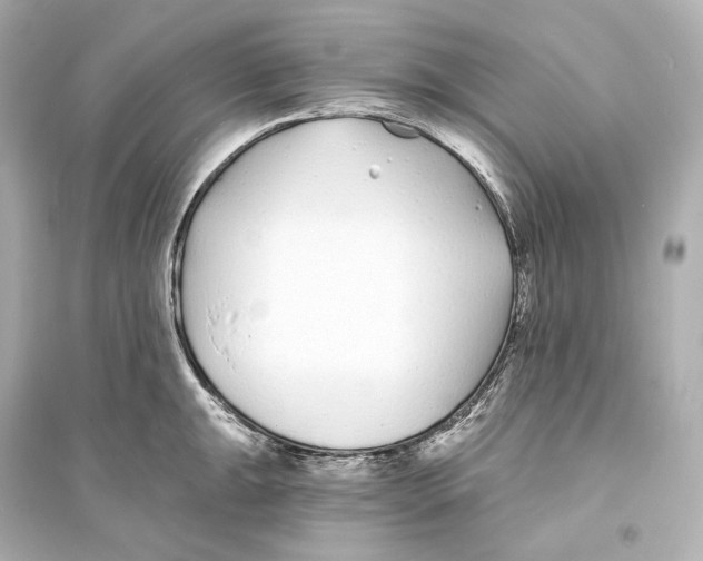 X0000093761047200711131144