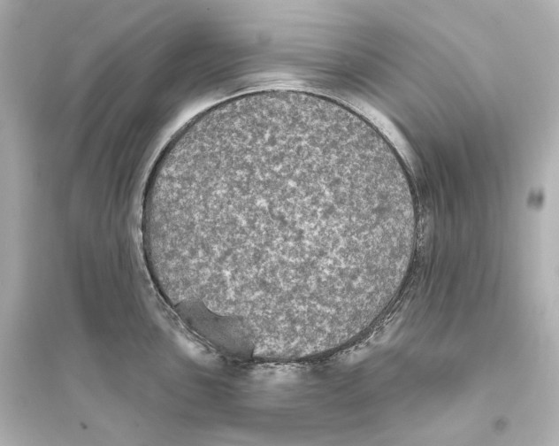 X0000093761051200711131144