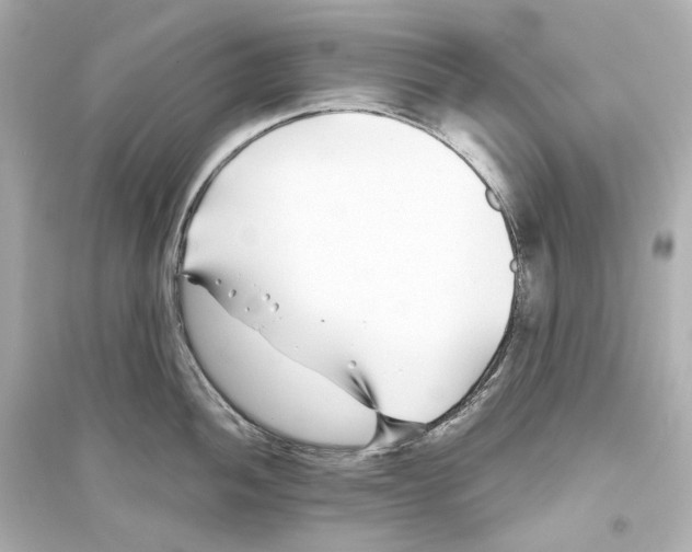 X0000093761052200711131144