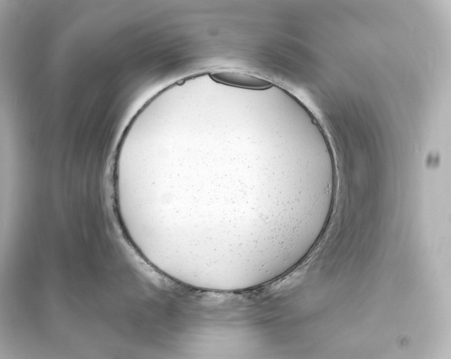 X0000093761056200711131144