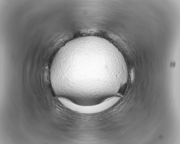 X0000093761059200711131143