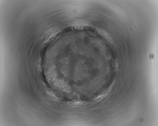 X0000093761060200711131143