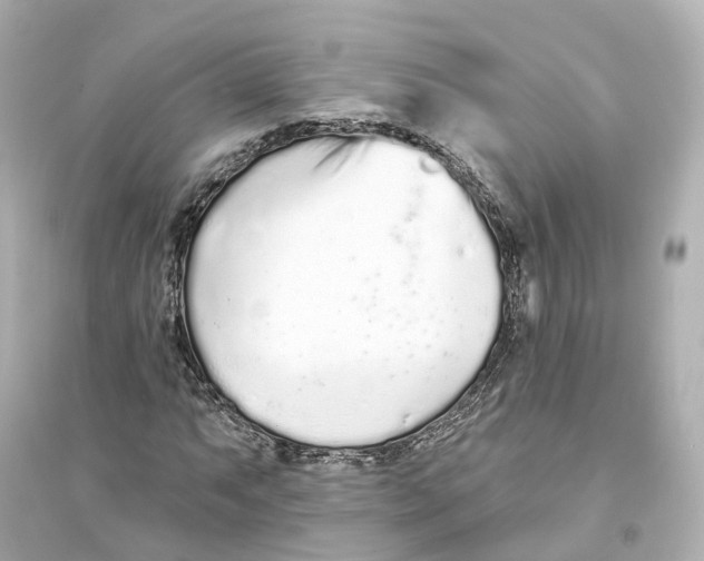 X0000093761063200711131143