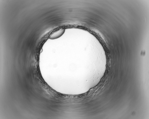 X0000093761064200711131143