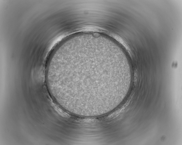 X0000093761067200711131143