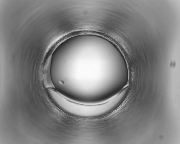 X0000093761069200711131143