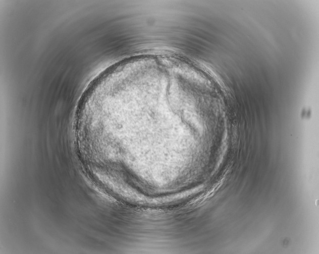 X0000093761071200711131143