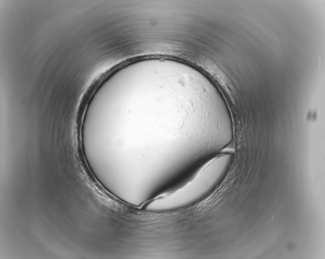 X0000093761072200711131143