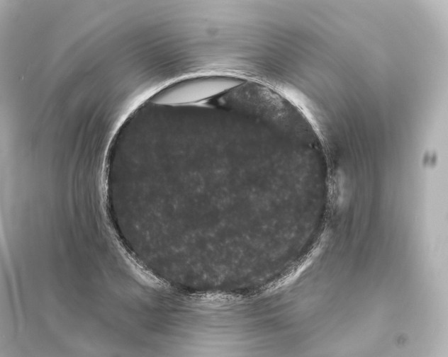 X0000093761077200711131143