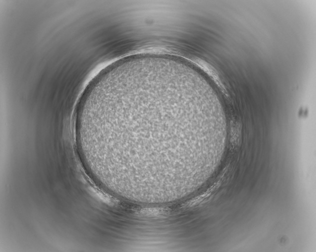 X0000093761078200711131143