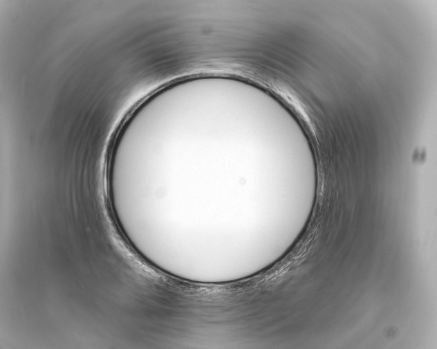 X0000093761080200711131143