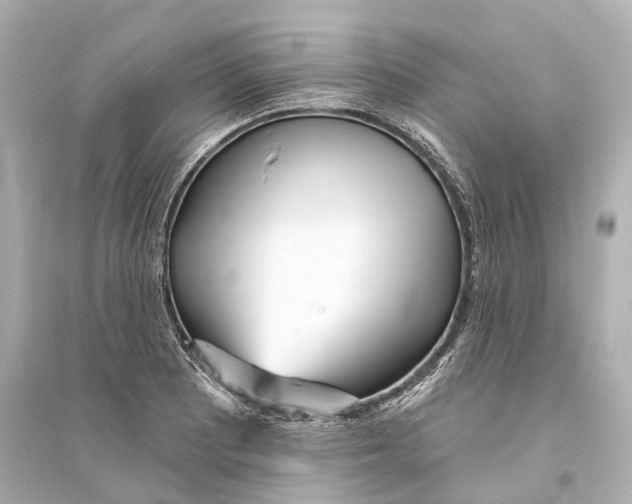 X0000093761081200711131143