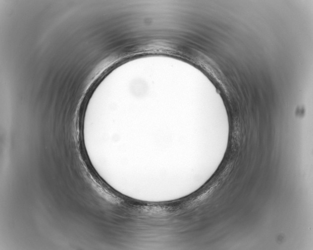 X0000093761082200711131143