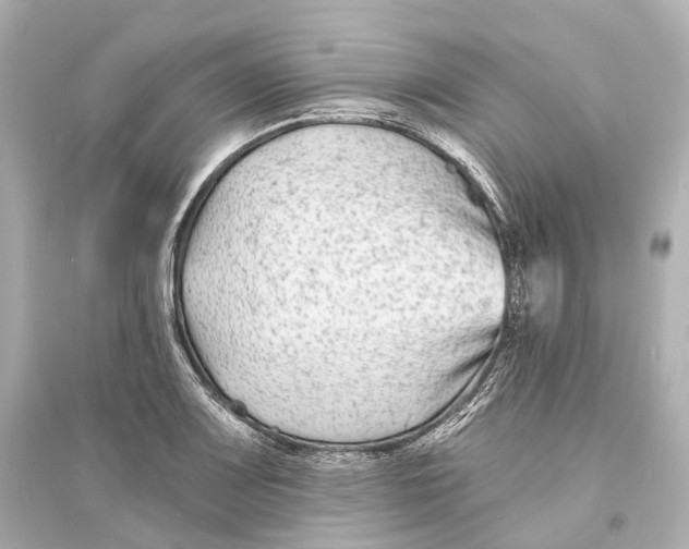 X0000093761083200711131143