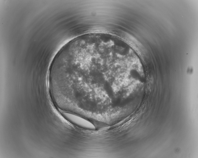 X0000093761084200711131143