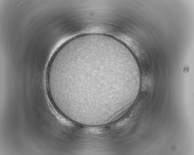 X0000093761086200711131143