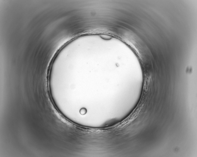 X0000093761087200711131143