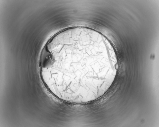 X0000093761088200711131143