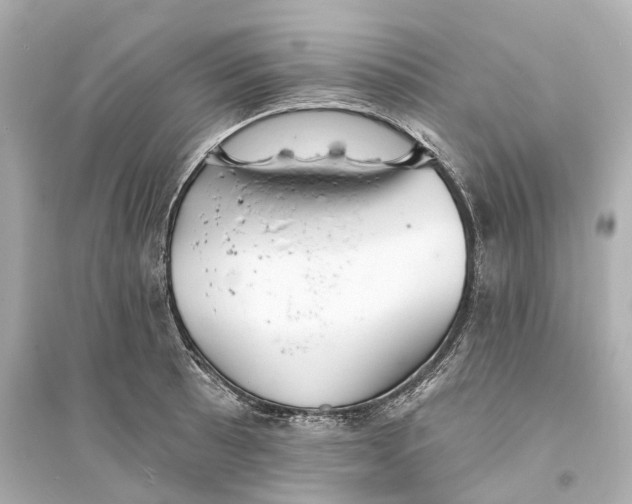 X0000093761089200711131143