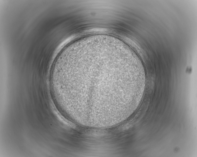 X0000093761090200711131143